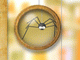 Hungry Spiders