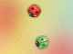 Bugs